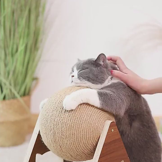 Wooden cat climbing frame with wrapped twine